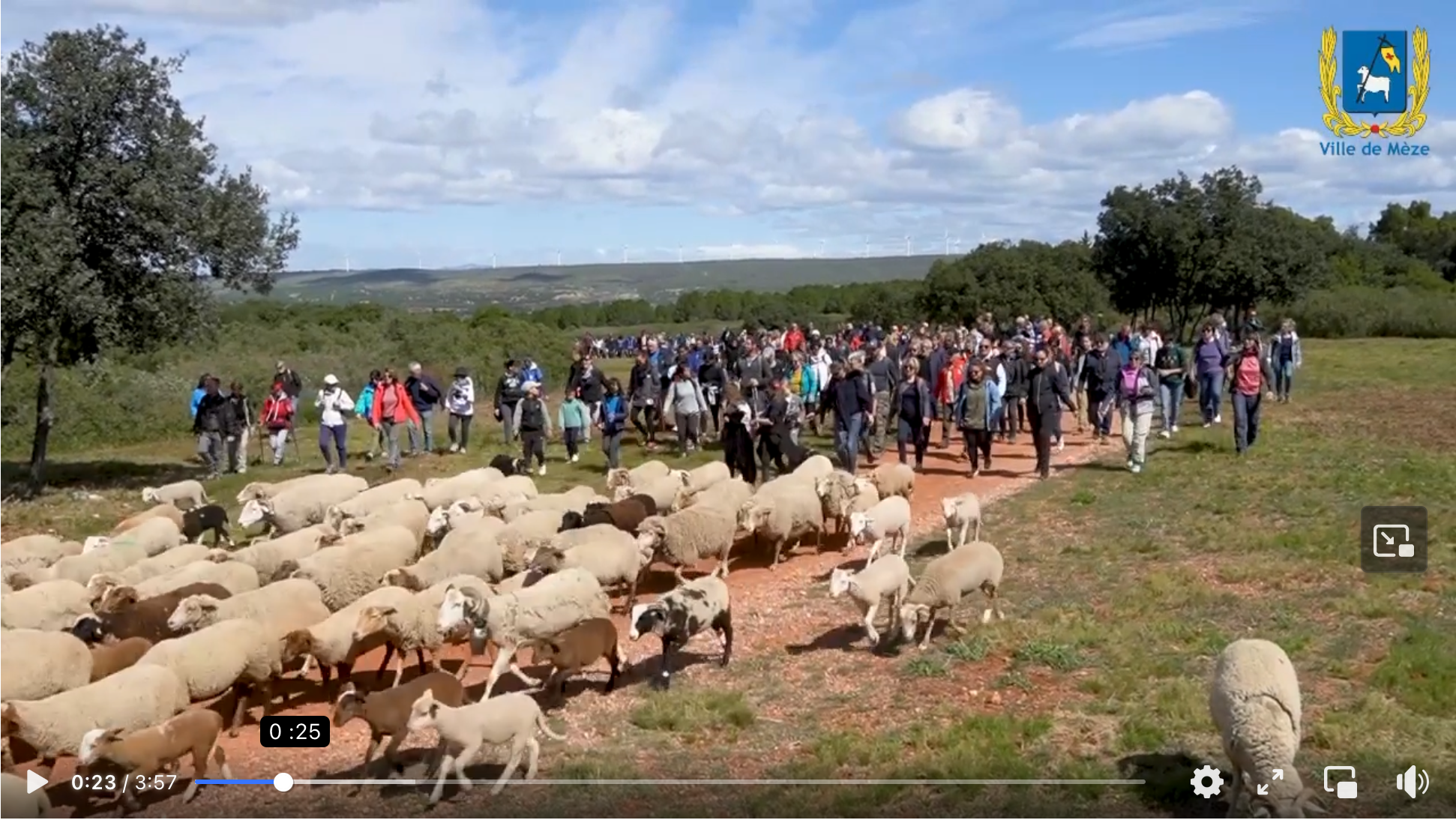 Transhumance 2023 bis