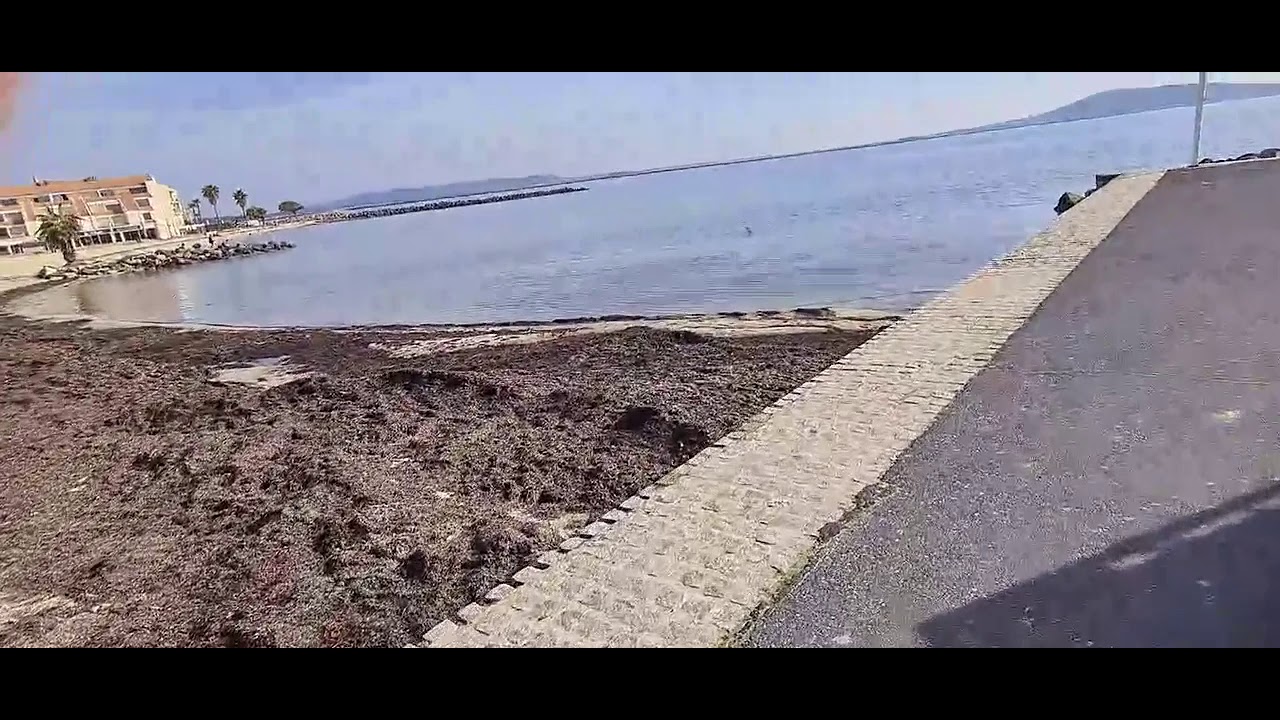Mèze vue de la terre - Le port de Mèze